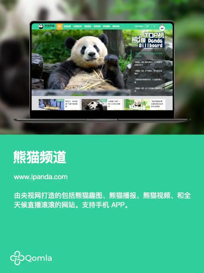 熊猫电视官方网站入口