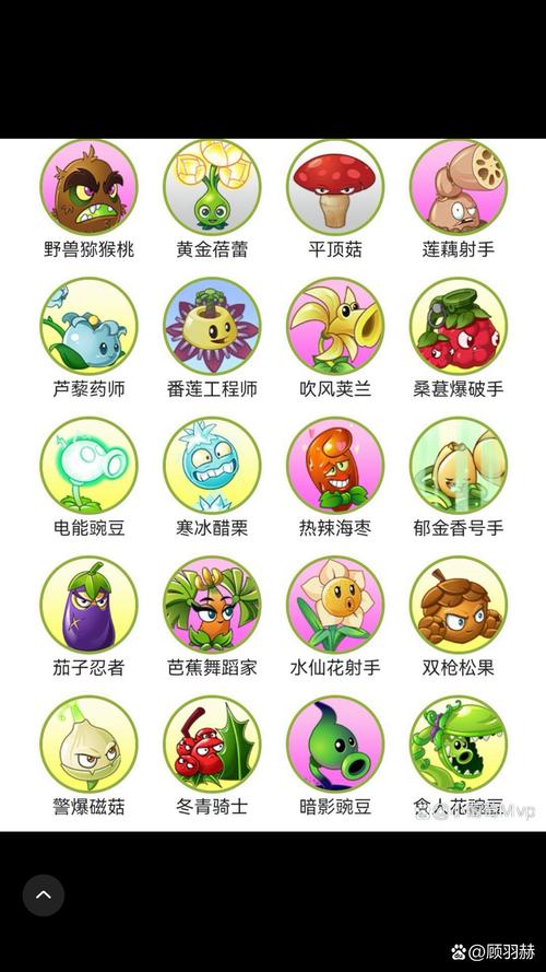 植物大战僵尸秦始皇