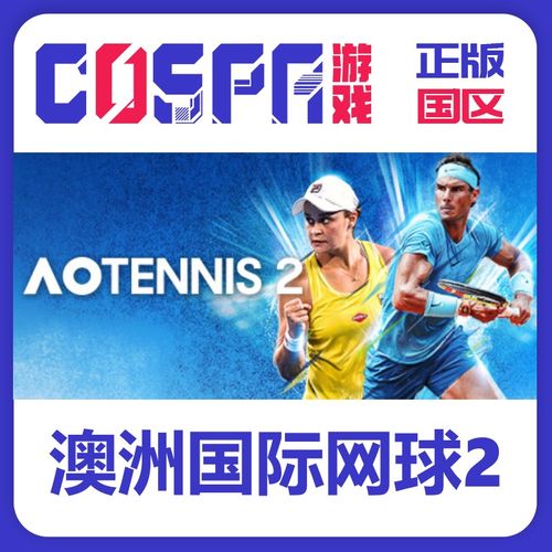 ao网球2游戏截图