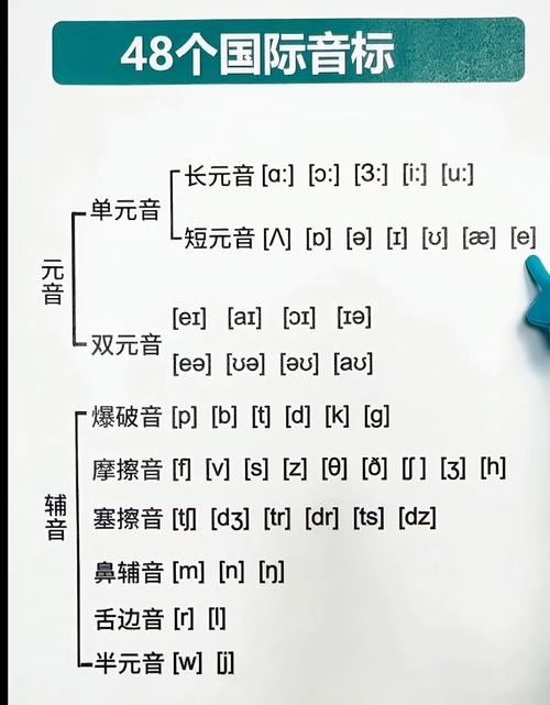48个国际英语音标图标