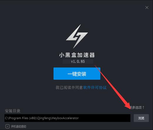 小黑盒加速器安装汉化版游戏截图