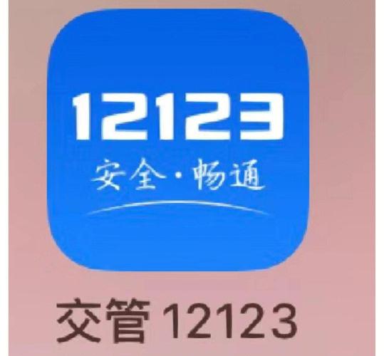 12123交管网图标