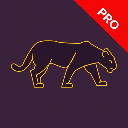 黑豹加速器2023最新游戏截图