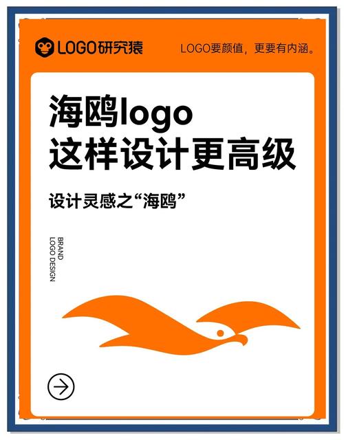 海鸥vp2024免费版永久免费版