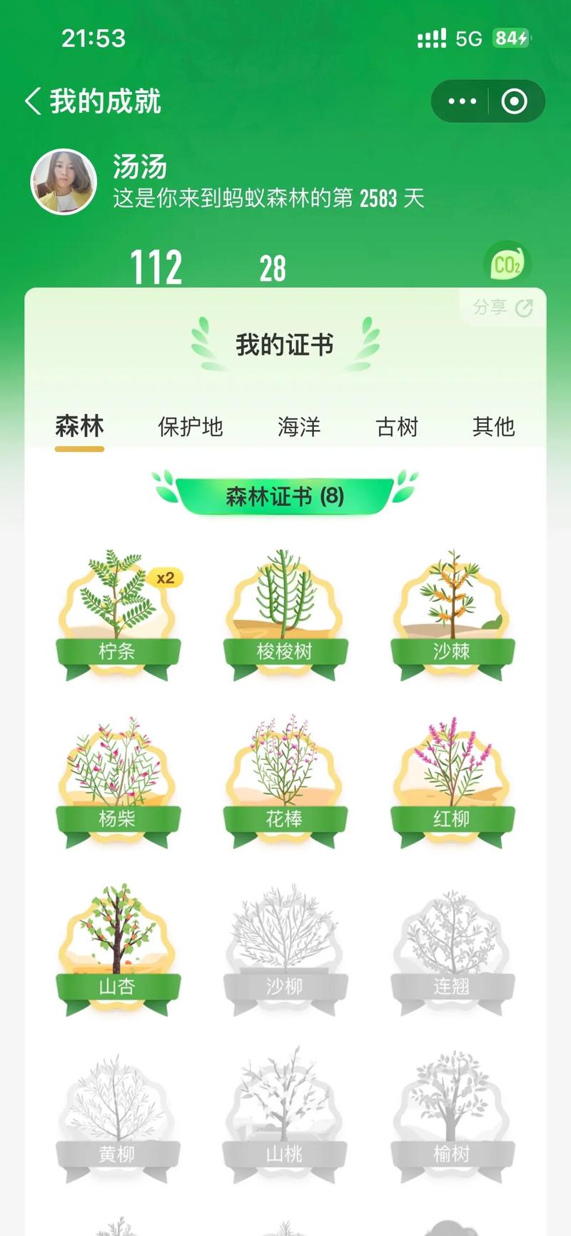 树朵朵种树赚钱安图标