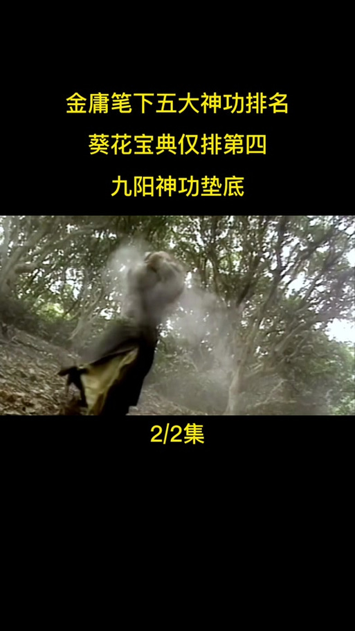 少林九阳功与九阳神功