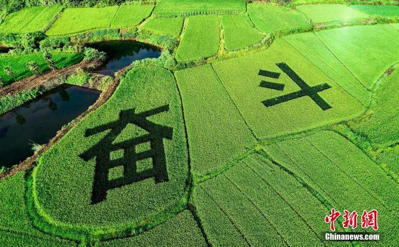 奋斗在田园图标