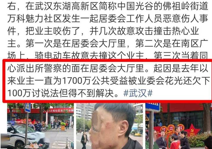 武汉社区人员咬人后续缩略图