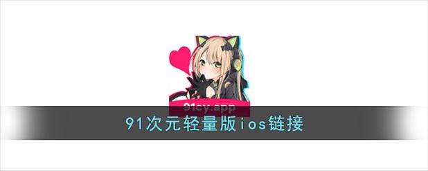 91次元轻量版是什么图标