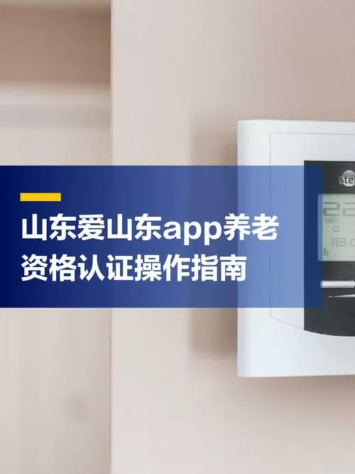 爱山东养老认证