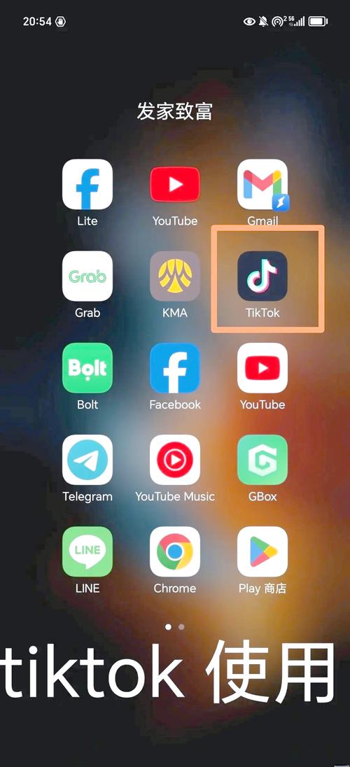 tiktok成年人版旧版